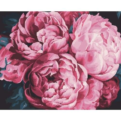 Three Bright Peonies Flower Painting By Numbers Hand Painted Oil Painting Adult Child Picture Colouring Home Decor Unique Gift
