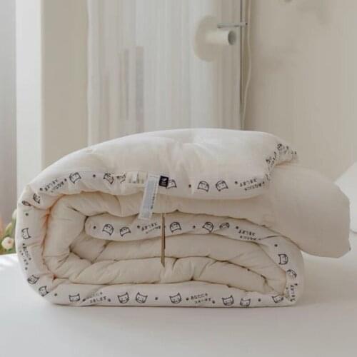 Winter Thickened To Keep Warm, Class A Non Dyed, Four Seasons Summer Spring And Autumn Dormitory, Single Hotel Quilt