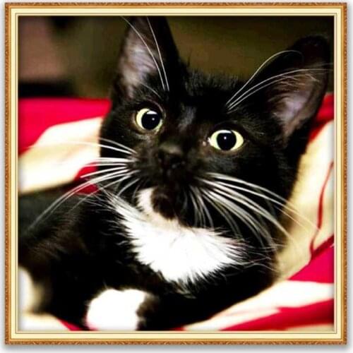 Animal Cat DIY Cross Stitch Embroidery 11CT Kits Craft Needlework Set Printed Canvas Cotton Thread Home Decoration Living Room