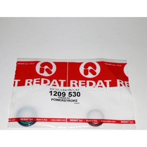 Oring seal kit Repair kit 1209530 for powerstroke Oring seal kit