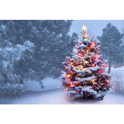 VinylBDS Snow Photography Backdrops Christmas Tree Cartoon Forest Background For Children Photo Studio Microfiber Background