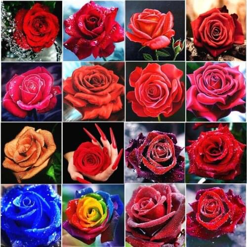 Flower pictures Diamand Painting Flowers 5D Diamond Mosaic Cross Stitch Diamond Painting Full Drill New Arrivals