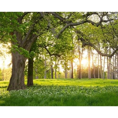 Beibehang 3D Photo Wallpaper Natural Park Tree Wall Landscape Painting Bedroom Living Room Sofa TV Background Wallpaper mural