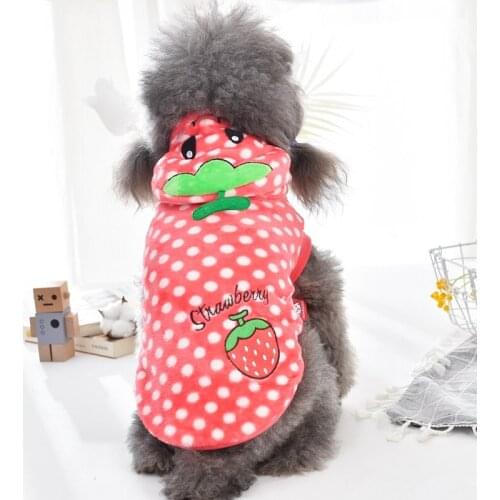 Strawberry Shaped Pet Costumes Clothes For Dogs Two Feet Outfit Pink Red S XXL Autumn Winter Princess Dachshund Coat Products