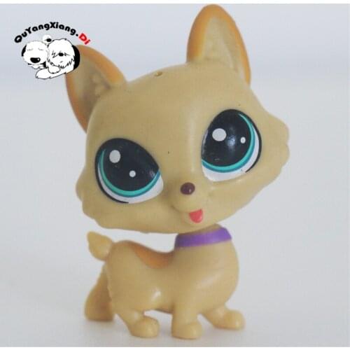 CWM059 Pet Shop Animal Khaki cat doll action Figure kitten