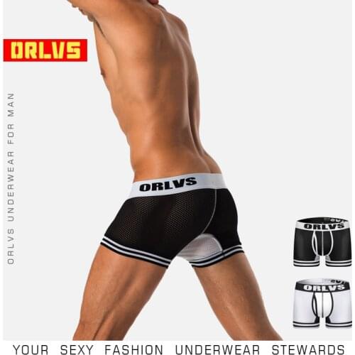 ORLVS Brand Comfortable Boxers Men Underwear Mesh Nylon Male Panties Breathable Men Sleepwear Quick Dry Solid Boxers Men shorts