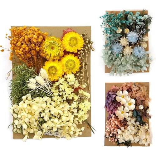 DIY Dried Flower For Aromatherapy Candle Making Real Flower For Resin Fillings Nail Art Home Craft Resin Casting Mold Accessorie