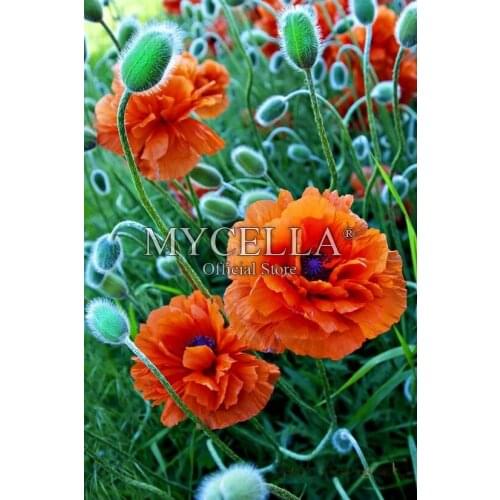 Flowers 5D Diy Diamond Painting Cross Stitch Diamond Embroidery landscape Full Round Diamond Mosaic Pasted Needlework Crafts