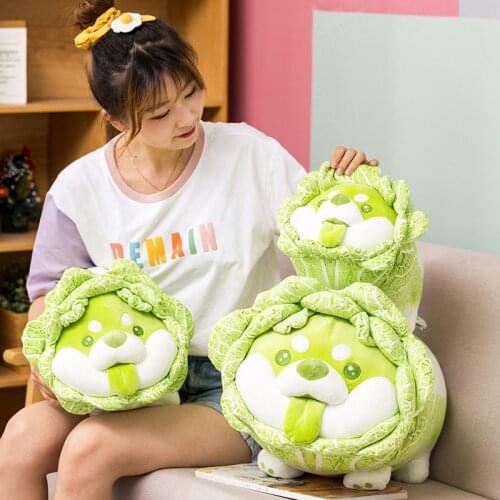 22-55cm Cute Vegetables Fairy Plush Toys Cabbage Shiba Inu Dog Stuffed Animals Pillow Dolls for Kids Girls Birthday Gifts