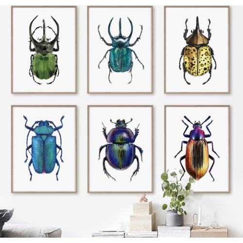 Insect Beetle Collection Euphorbia Palawan Retro Wall Art Canvas Painting Posters And Prints Living Room Decor Style Decoration