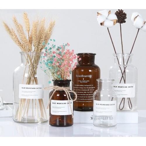 Nordic Ins Mini Art Flower Vases Transparent Glass Bottle Dry Flower Vase Plants Holder Home Decoration Living Room Decor