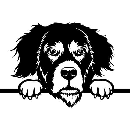 12.5CM*8.3CM Funny Bernese Mountain Dog Pet Decoration Pattern Vinyl Car-Styling Decal Car Door Car Stickers