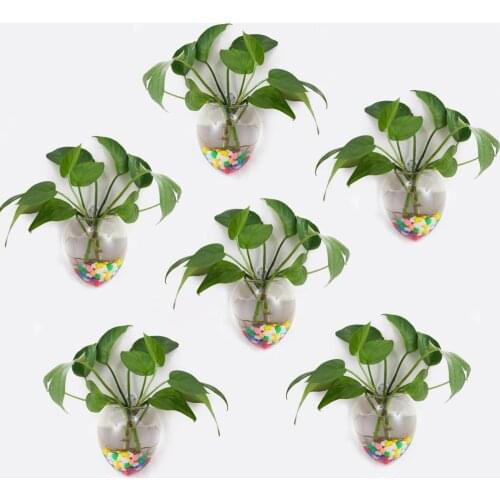 Glass Planters Wall Hanging Planters Hanging Air Plant Pots Flower Vase Air Plant Terrariums Hanging Plant Containers
