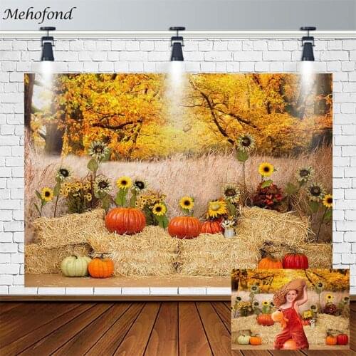 Fall Subject Photography Backgrounds Pumpkin Sunflower Haystack Maple Leaf Baby Shower Backdrop Photophone Photozone Decor Props