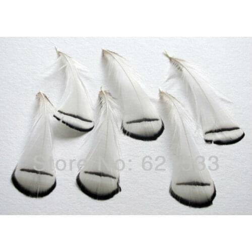 100Pcs/Lot 6-8cm long Loose BLACK&WHITE Lady Amherst Pheasant Tippet Feathers,Lady Amherst Plumage Feathers