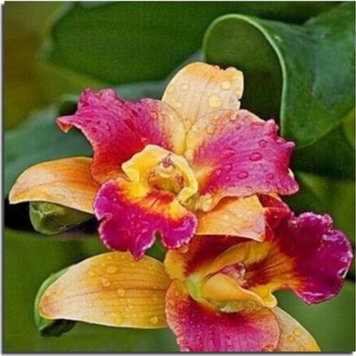 3D Color Flower 60x60cm Needlework DIY Cross Stitch Sets For Embroidery Kits Cross-Stitching Diamond Painting