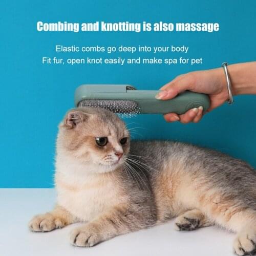 Pet Dog Cat Hair Brush Reusable Double-Sided Hair Removal Brush Portable Dust Removal Sofa Clothes Cleaning Brush TS2