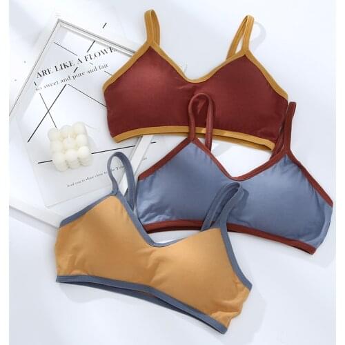 New Lingerie Hot Sale Hit Color Bra Women No Steel Ring Comfortable Anti-Glare Tube Top Underwear Strap Tide
