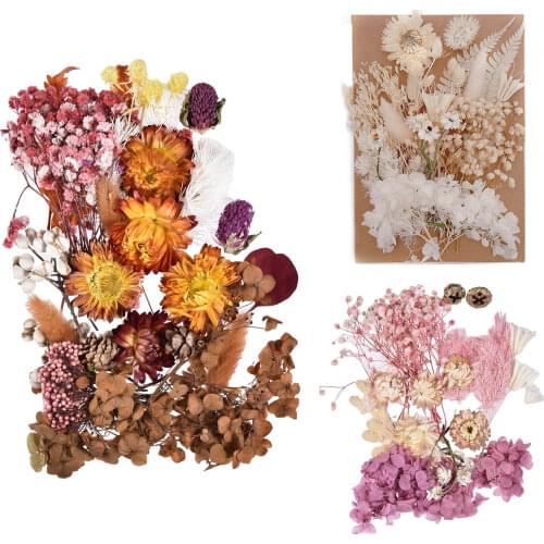 Dried Pressed Flowers Dried Flowers DIY UV Resin Fillers Natural Flower Stickers Dry Beauty Decal For DIY Candles Dropshipping