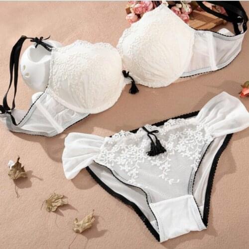 Elegant Embroidery Floral lace underwear bra set with Panties Summer Sexy Lingerie Set