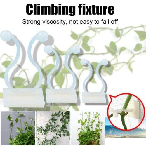 50pcs Plant Climbing Wall Vines Invisible Wall Clip Fixture Wall Sticky Hook Holders Plant Cages & Supports Rattan Clamp Rattan