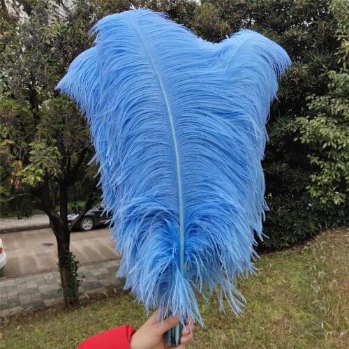 Hot 50 pcs High Quantity Light Blue 24-26inch/60-65cm "thick Stem" Male Ostrich Feathers DIY Jewelry Craft Making Decoration