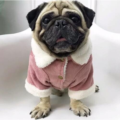 Fashion Dog Winter Warm Jacket Coat Pet Clothes for Small Medium Dogs French Bulldog Corgi Chihuahua Pug Costume KLC02
