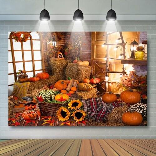 Pumpkins Halloween Party Newborn Photography Background Artist Styles Sun flower Backdrops Wood Windows House Backgrounds