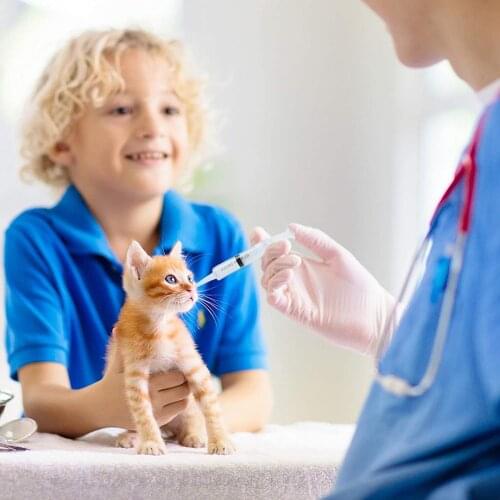 100ml Reusable Plastic Syringe Liquid Nutrient Syringe for Animal Feeding Hydroponics Industrial Experiments Lab