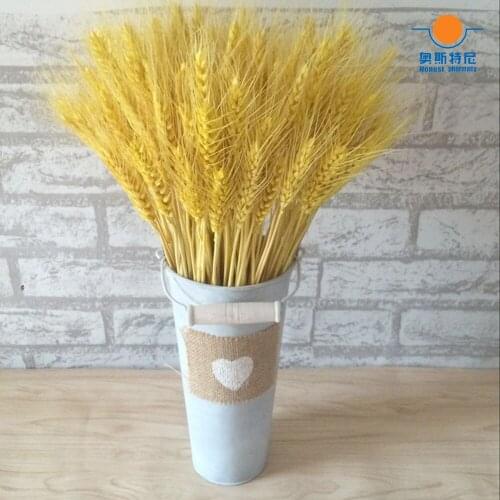 50pcs Yellow color natural dried flower bouquets natural dried ear of wheat bouquets& dried wheat ear Bunches