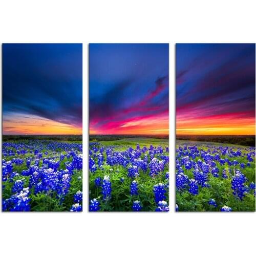 3 pcs diamond painting cross stitch blue iris flower DIY full square Diamond Embroidery Nature Landscape decorations for home