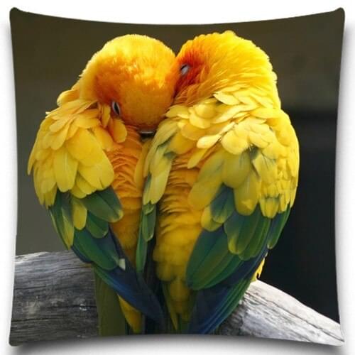Two parrot to sleep with hug 2D print creative Pillow case Square cotton polyester cushion cover 5 size 9 style