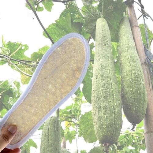 Natural Loofah Deodorant Insoles For Shoes Men Women Breathable Shoe Insoles Pad inserts Sweat Deodorant Breathable Mesh Shoe