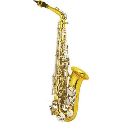 High quality gold lacquer body siver plated key Alto Saxophone