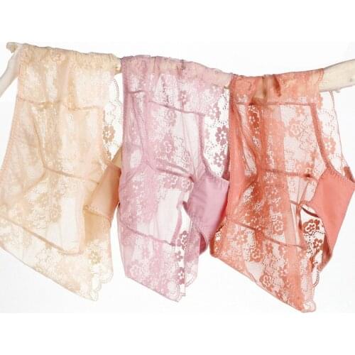 Womens Lace Briefs Large Size with High Waist New Transparent Mesh Panties Female Underwear Sexy Panty Plus Size Women 3XL 4XL