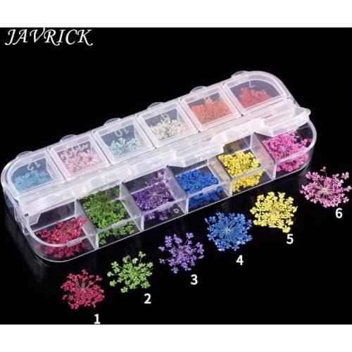 24Pcs Real Pressed Flower Lace Dried Flower Nail Art Resin Jewelry Making For DIY crafts