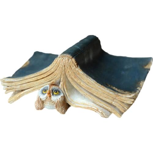 EVERYDAY COLLECTION Swimming Accessories