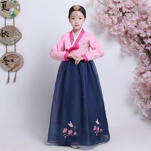 Korean Traditional Clothing Children Embroidered Korean Dress Korean Antique Dress Performance Dress Girl Korean Dress