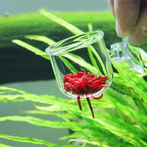 Aquarium Cone Red Worm Feeder Acrylic Suction Cups Fish Feeding Cup Transparent Worm Feeding Container Holder