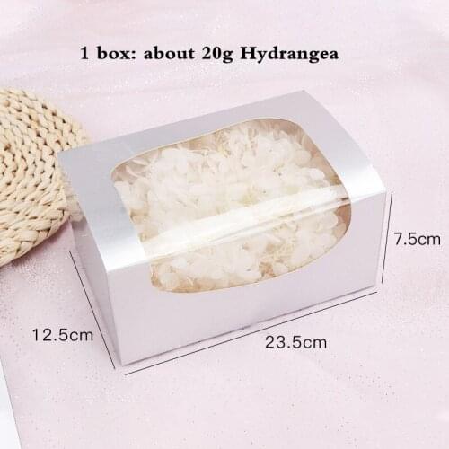 20g/box A Atlantist Hydrangea Nature Flower Head Decoration Wedding Headwear Valentines Day Plant Candele Grade Flores Sec