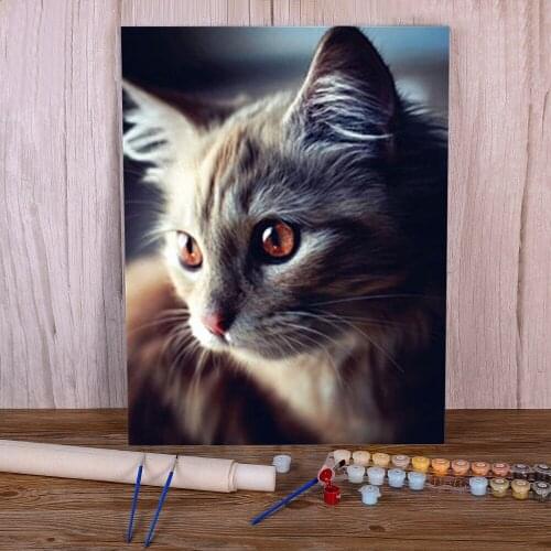 Animal Cat Coloring By Numbers Painting Complete Kit Acrylic Paints 40*50 Canvas Painting Wall Decoration Kids Drawing