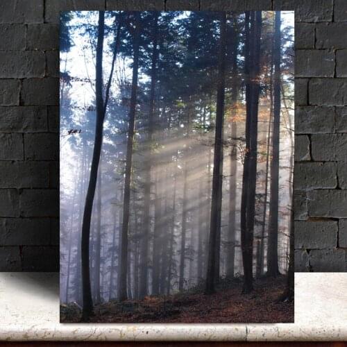 Sun Rays in Misty Winter Morning Scene Poster Wall Art Canvas Painting Prints Pictures Living Room Office Home Decor