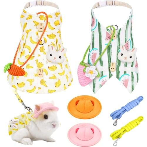 2 Sets Bunny Rabbit Dress Cute Pet Vest Bunny Accessories Costume Outdoor Leash Rabbit Clothes Harness Strap Leash Arnes Conejo