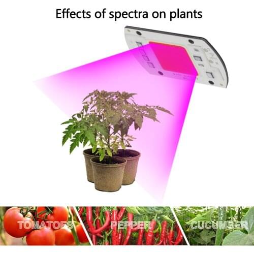 10pcs Full Spectrum LED Grow Light Chip DIY 220V AC COB 380~780nm Actrual Power 20W 30W 50W Replace Sunlight for Indoor Plants