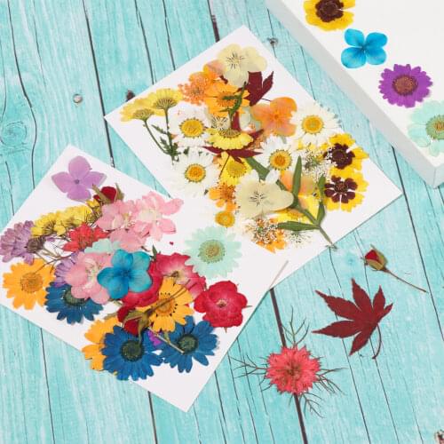 Dried Flowers Resin Mold Fillings Expoxy Flower for Nail Art Pressed Flowers for Silicone Molds DIY Art Craft Scrapbooking Decor