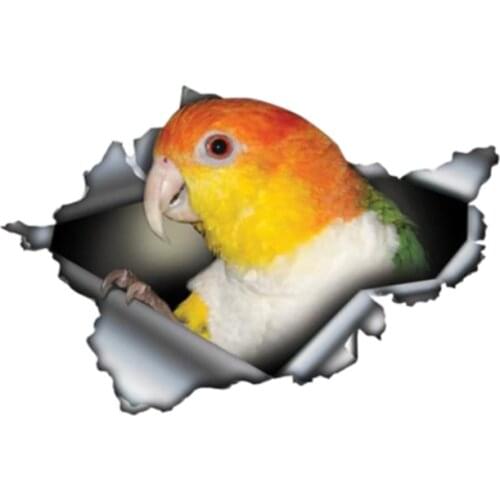B0753# Self-adhesive Decal Parrot Car Sticker Waterproof Auto Decors on Bumper Rear Window Motorcycle Laptop
