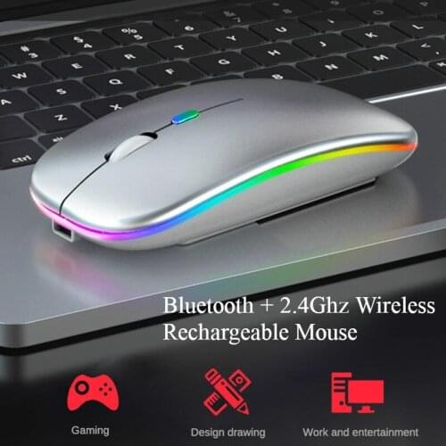 APBLP Computer Mice