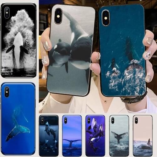 Killer Whale Orca Phone Case for iPhone 11 12 mini pro XS MAX 8 7 6 6S Plus X 5S SE 2020 XR