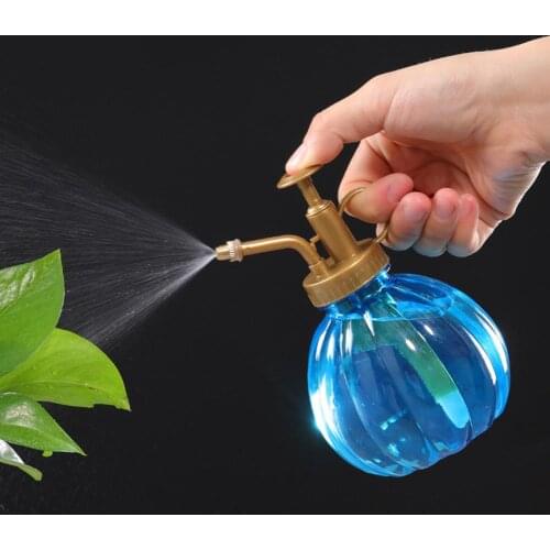 2020 Vintage Plant Flower Watering Pot Spray Bottle Sprayer Planting succulents Kettle for Garden Small Garden Tools Supplies