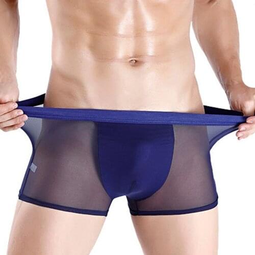 Men Underwear Sexy Mesh Underpants Thin See Through Solid Color Boxer Trunk Mid Waist Breathable Bulge Pouch Shorts Male Panties